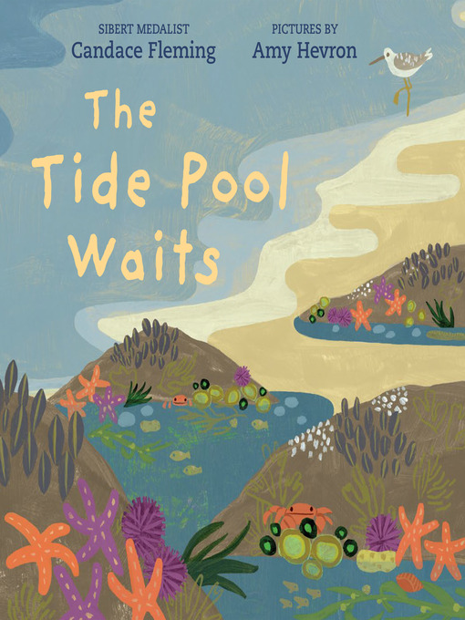 Title details for The Tide Pool Waits by Candace Fleming - Available